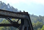 NS Trestle over the James River